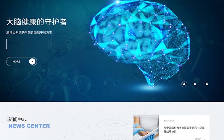 网站建设制作网站定制开发生物医药医疗器械网站开发H5